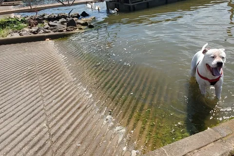 Red River South Marina-Resort