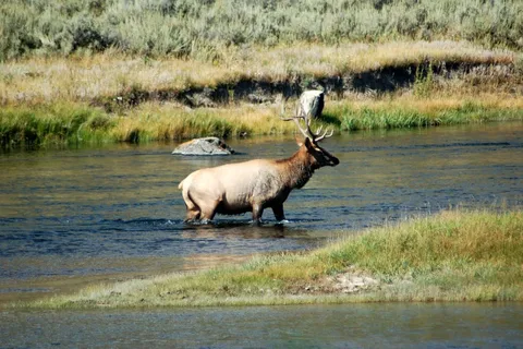 Elk Bend RV Park