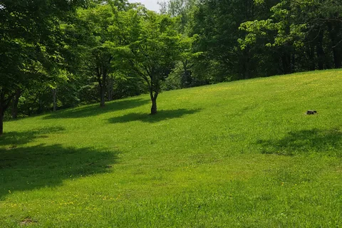 Bear Ridge Campground and RV Resort