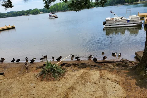 Tamarac Marina and Campground