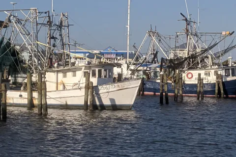 Rickey Levy Memorial Harbor Park
