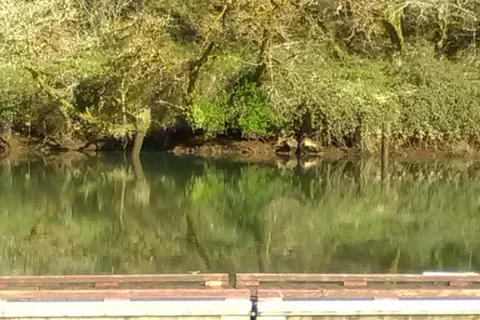 Maple Lane RV Park and Marina
