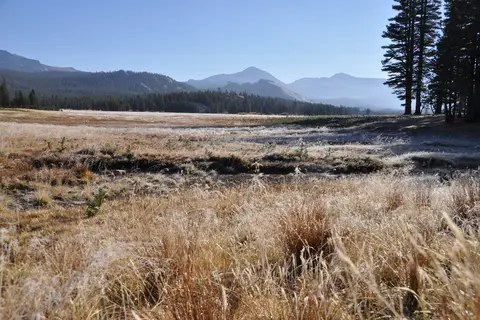 Tuolumne Meadows - Yosemite National Park