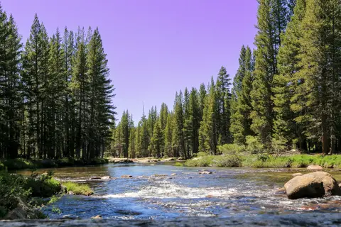 Tuolumne Meadows - Yosemite National Park