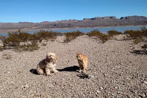 South Monticello - Elephant Butte Lake State Park