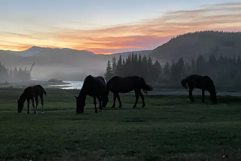 Mountain Aire Resort and Campground