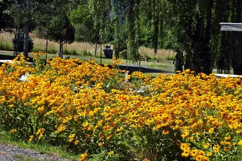 Long Camp RV Park