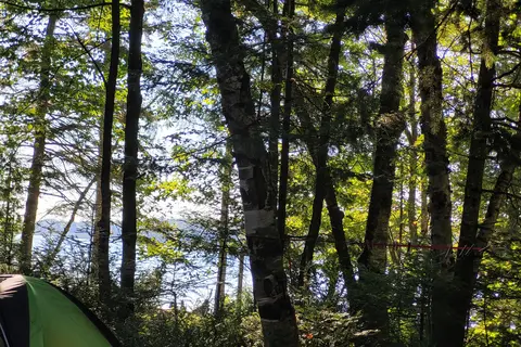 Little Brevort Lake North State Forest Campground