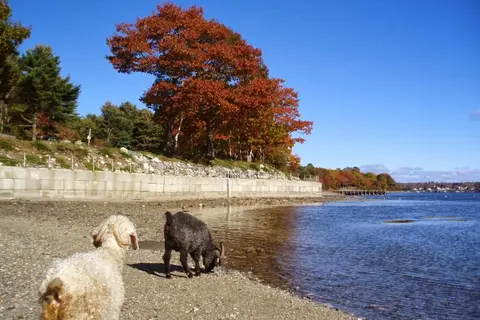 Searsport Shores Oceanfront Campground