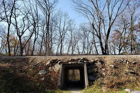 Salt Rock State Park