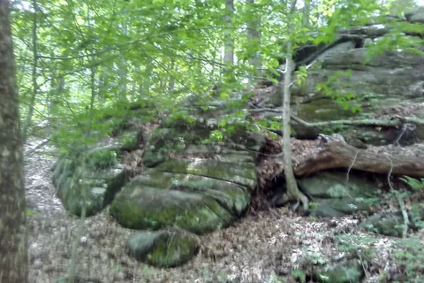 Salt Rock State Park