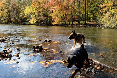 Salt Rock State Park
