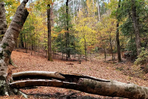 Lake Claiborne State Park