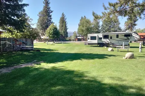 Pine Near RV Park and Campground