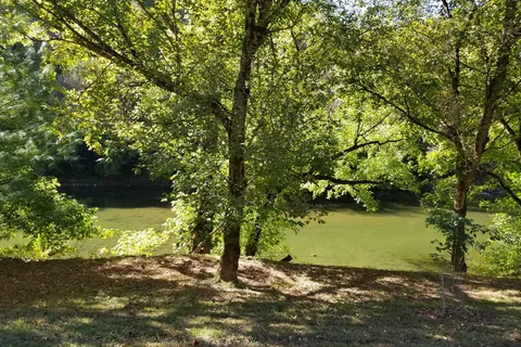 Mountain Pass Campground