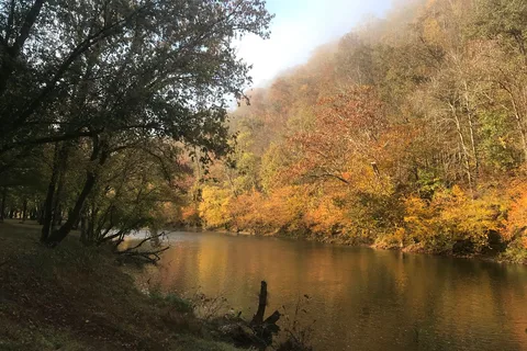 Mountain Pass Campground