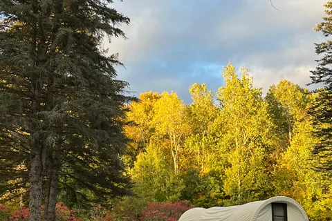 Bison Trace Luxury Camping