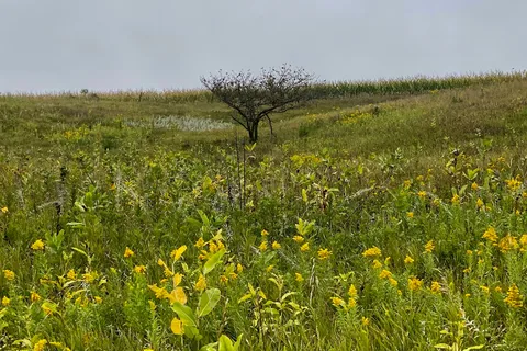 Kilen Woods State Park