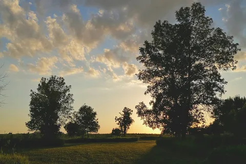Kilen Woods State Park