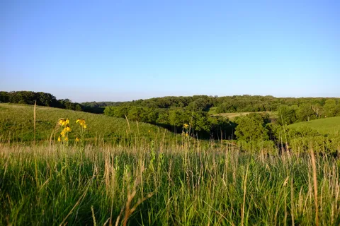 Kilen Woods State Park