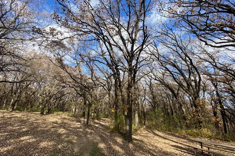 Kilen Woods State Park
