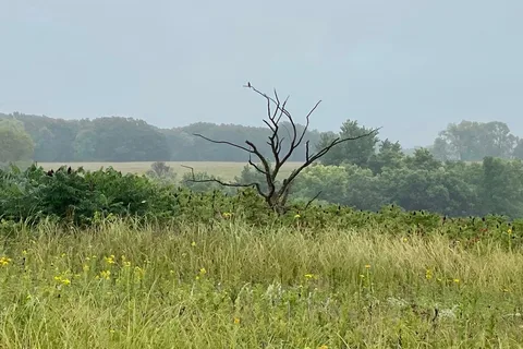 Kilen Woods State Park