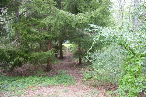 Area 2 - Shawme Crowell State Forest