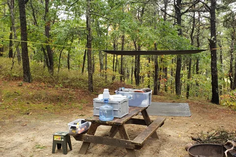 Area 2 - Shawme Crowell State Forest