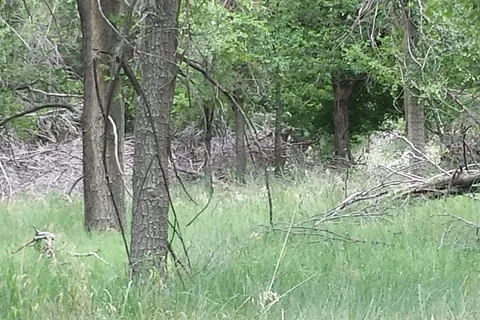 West - Meade State Park