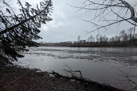 Ferry Island Campground