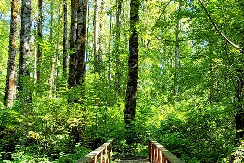 Ferry Island Campground