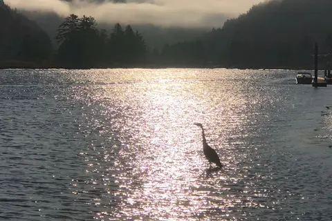 Drift Creek Landing