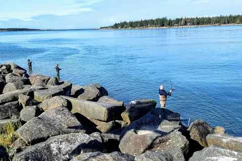 Salmon Harbor RV Park