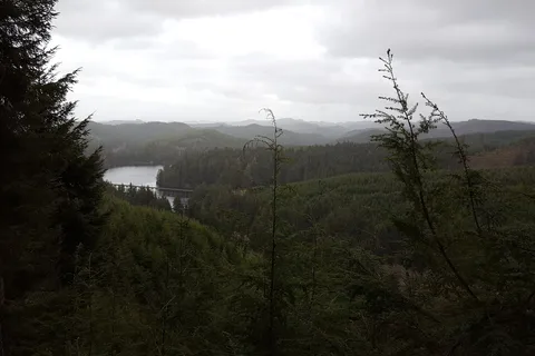 Salmon Harbor RV Park