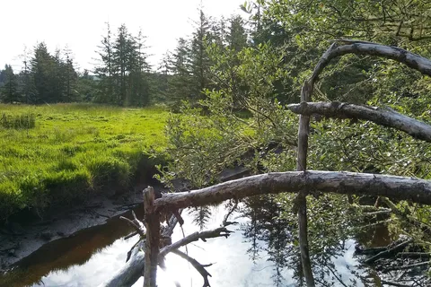 Salmon Harbor RV Park