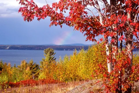 Bar Harbor Campground