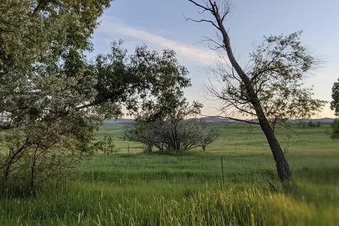 Twin Pines RV Park and Campgrounds