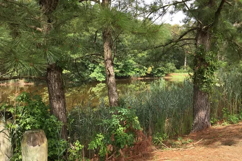 Island Resort Campground