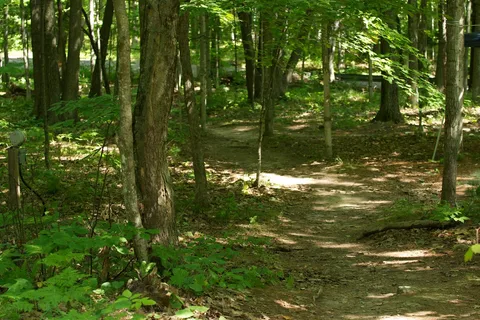 Tranquil Timbers Camping Resort