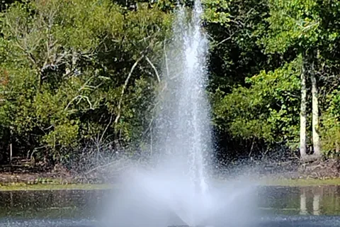 Chestnut Lake RV Campground