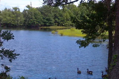 Chestnut Lake RV Campground