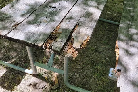 Darien Lake Campground