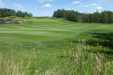 Coal Creek Golf Resort