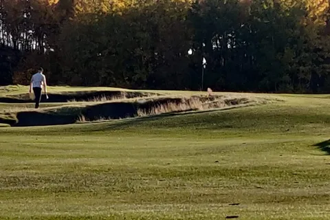 Coal Creek Golf Resort