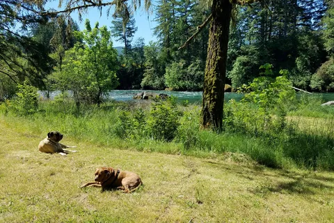North Santiam State Recreation Area