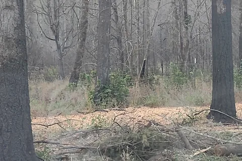 North Santiam State Recreation Area