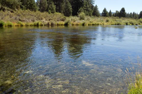 Collier Memorial State Park