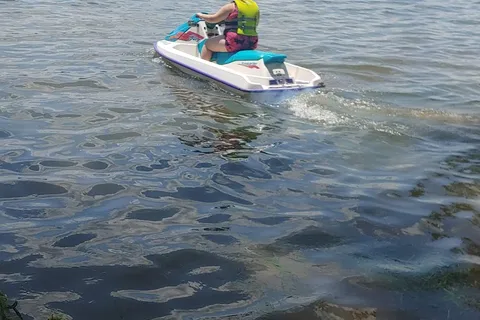 Seibold Campground and Marina