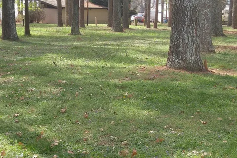 Seibold Campground and Marina