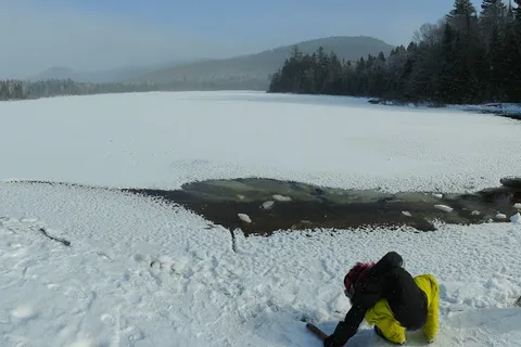 Lac Chat - Mont Tremblant Provincial Park